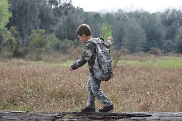 ������2023���б���ȡ����2023���б���ȡ����ȫ���