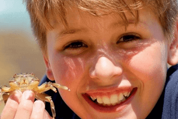 �к�ȡ����ò��ã��к������Ԣ��