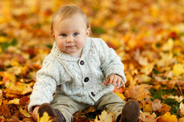 �����к����ִ�ȫ2023���ã�2023�귶���к����ִ�������