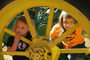 ����������ʲôȡ��Ԣ����ʲô��Ů���з�������Ԣ��