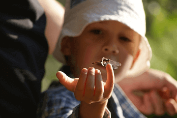 ����ֻ᲻��̫������ֵĺ�����ʲô��