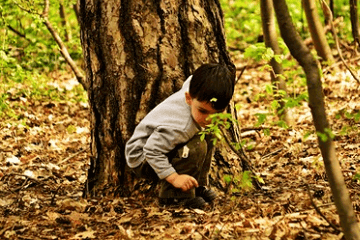 �б�ȡ��2023�ñ�����2023���к�����Ԣ��õ�����