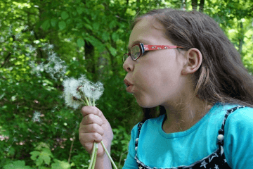 ����ȱ����к����ִ�ȫ����2023ȱ��ȡ�������к����־�ѡ��