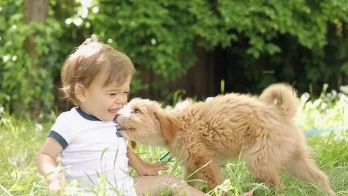 ����������ʲôȡ����Ԣ�⣬���ֱ����к����ִ�ȫ