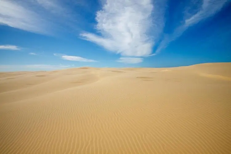 ��Ϊʲô�������мɻ���֣�����ȡ������