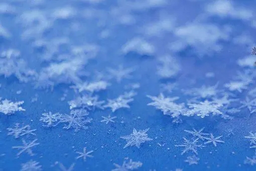 ����Ϊʲô����ȡ��������Ϊʲô˵����һ�����ò���