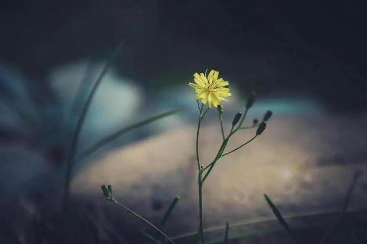 ܿ���������զ����Σ�ܿ����ȡ����Ԣ��ͺ���