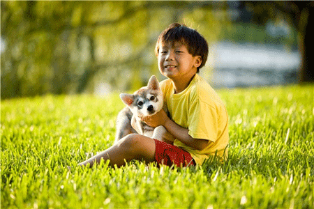 u=3531769659,2697684605&fm=253&fmt=auto&app=138&f=GIF.gif