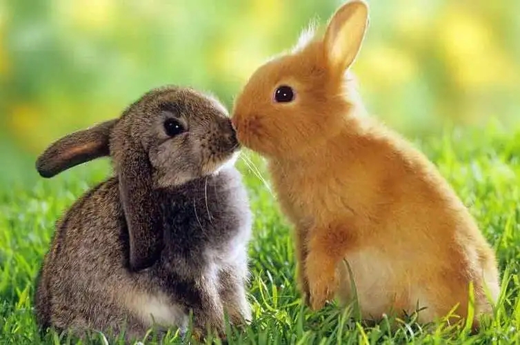 ʫ������2023�ñ������к�����+Ů�����֣�