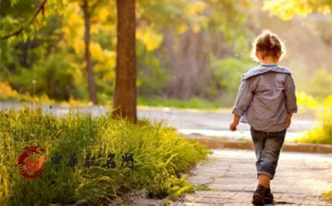 �����к�˳������С�����������ȡС����ȫ��2024��ο���