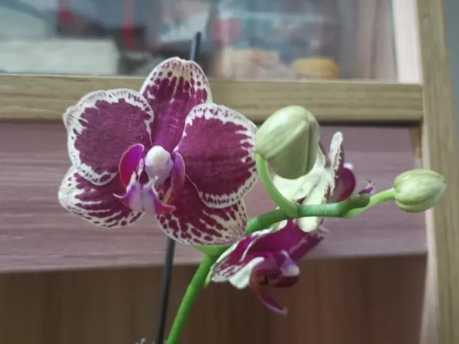 ��о������ֺ��𣿿�о���ֵĺ��壬��о���ֵ�Ԣ����ô��