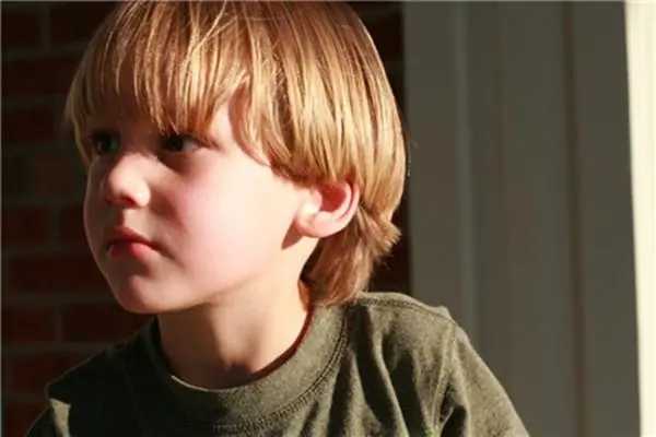 �����к����ִ�ȫ2024��������ѡ�Ƽ���