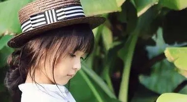 ����Ů����������ȫ2024����ѡ�Ƽ���