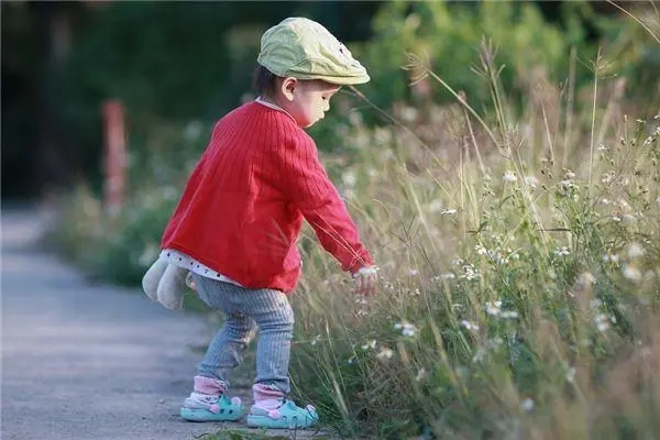 ����Ů�����ִ�ȫ2024��������ѡ�Ƽ���