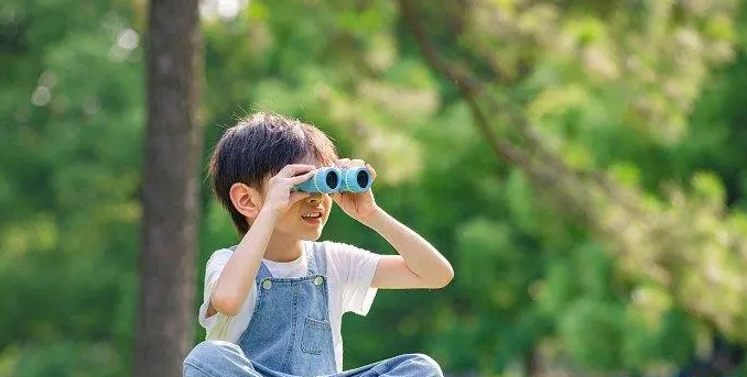 �����к����ִ�ȫ2024��������ѡ�Ƽ���