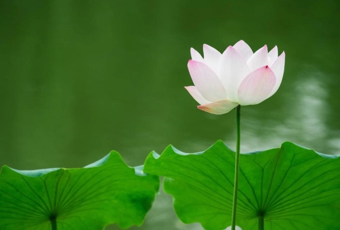 ����Ů��ȡ���ִ�ȫ2024��������ѡ�Ƽ���