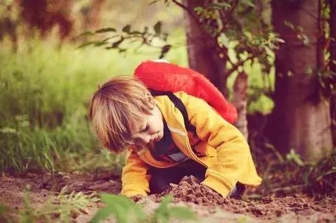 �����к����ִ�ȫ2024����ȡ������ѡ�Ƽ���