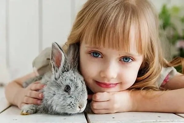 u=2231546849,2676880368&fm=253&fmt=auto&app=138&f=JPEG.webp.jpg